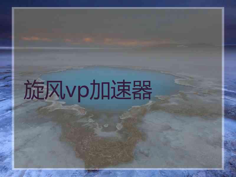旋风vp加速器