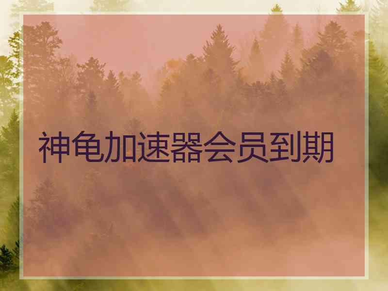 神龟加速器会员到期