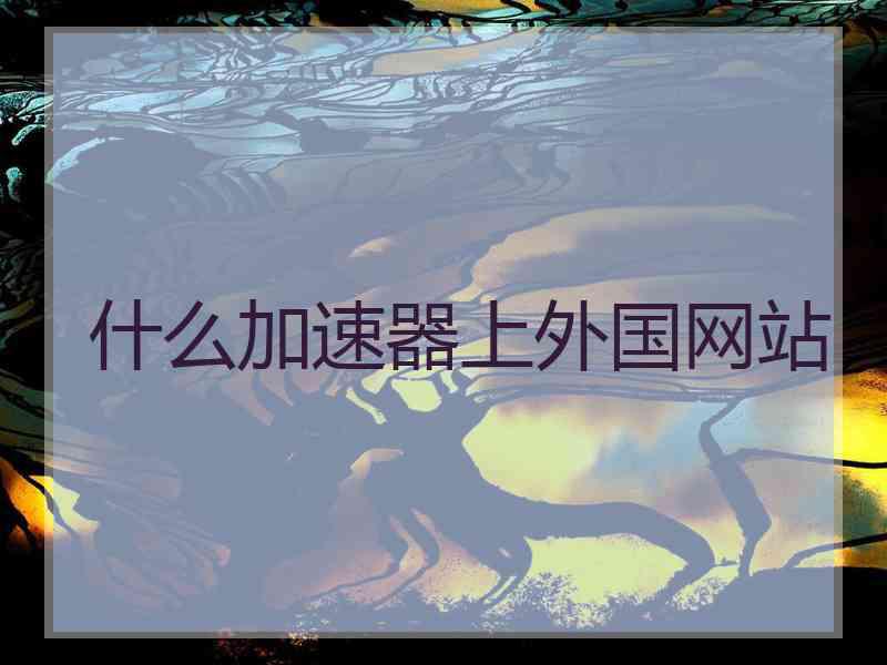 什么加速器上外国网站
