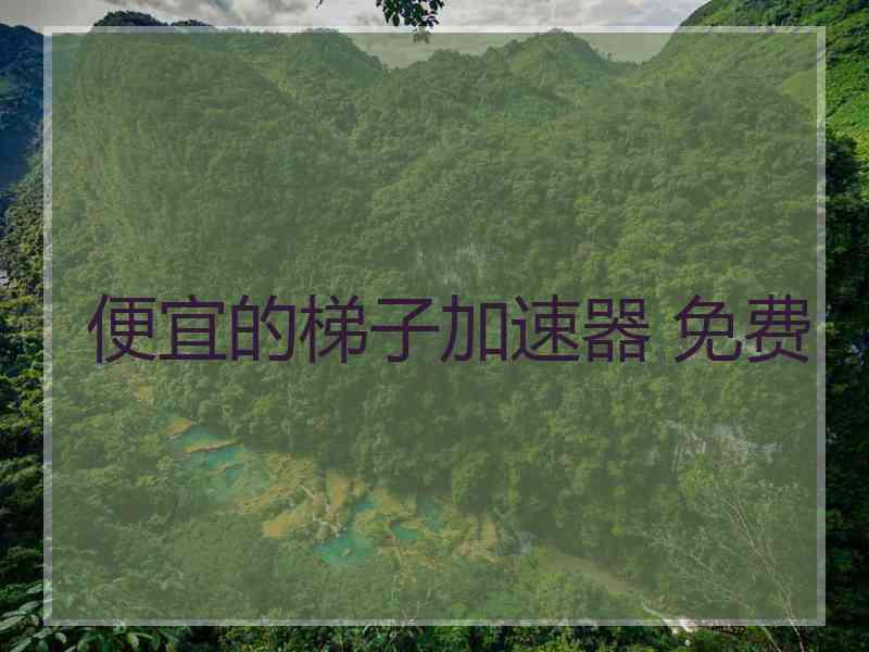 便宜的梯子加速器 免费