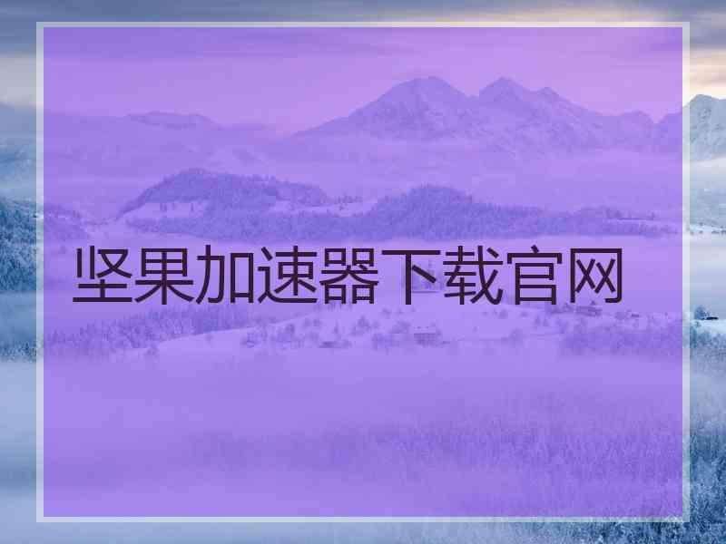 坚果加速器下载官网
