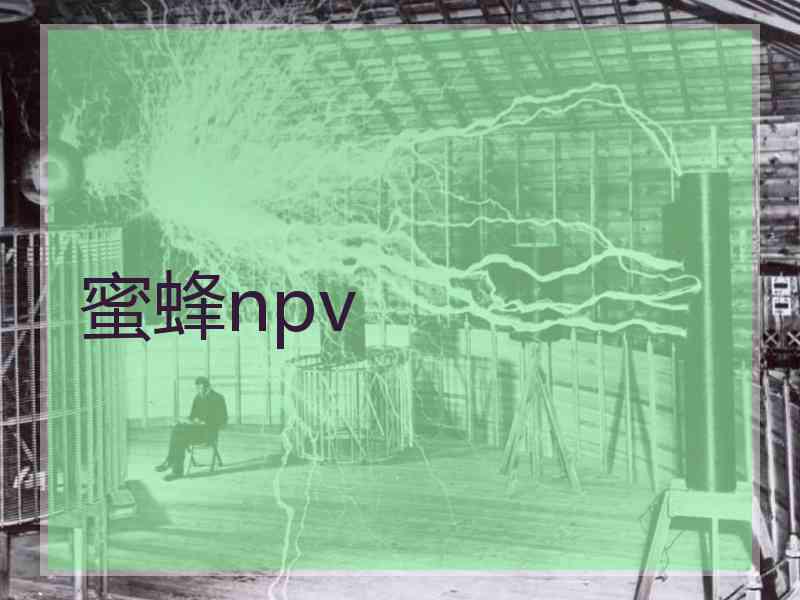 蜜蜂npv