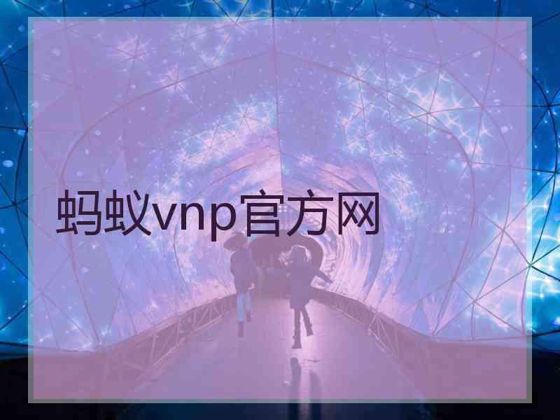 蚂蚁vnp官方网