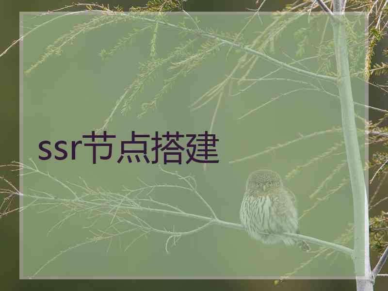 ssr节点搭建