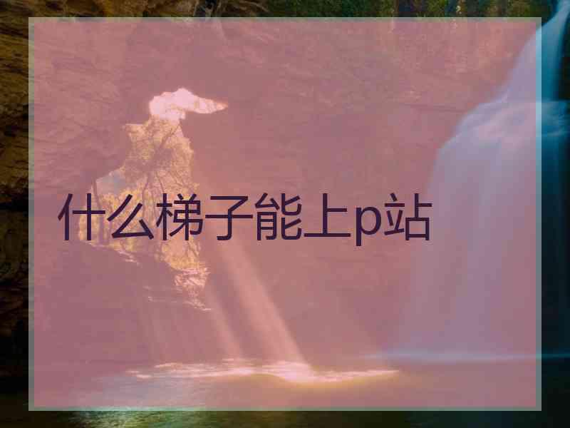 什么梯子能上p站