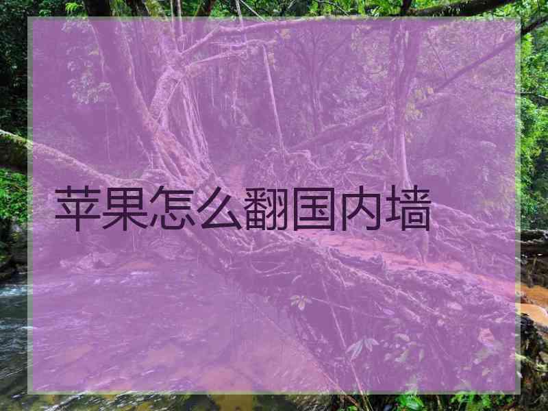 苹果怎么翻国内墙