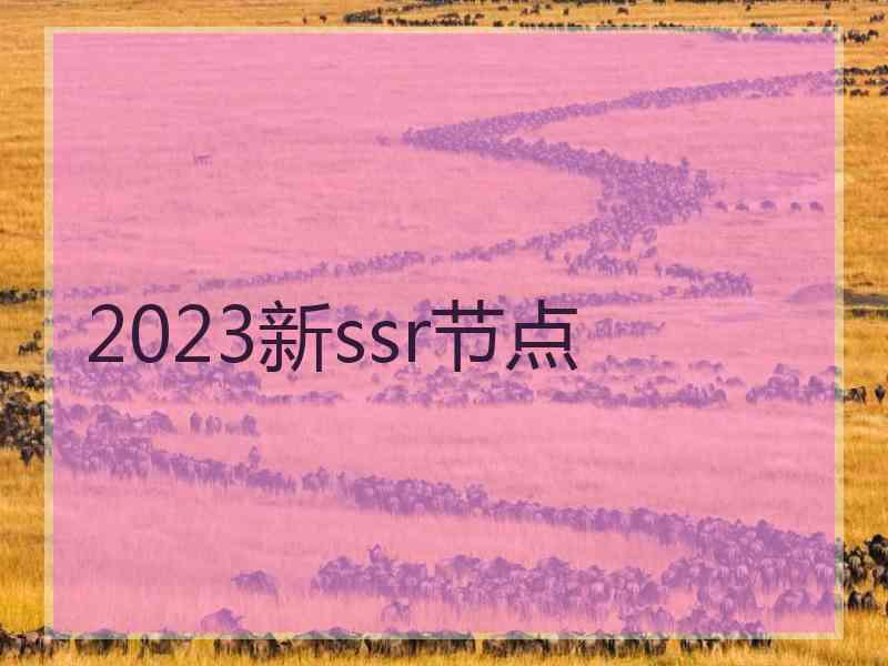 2023新ssr节点
