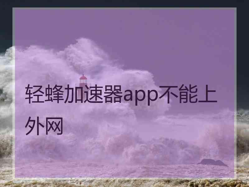 轻蜂加速器app不能上外网