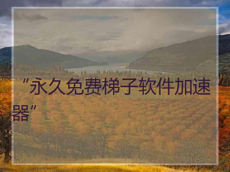 “永久免费梯子软件加速器”