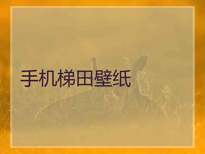 手机梯田壁纸