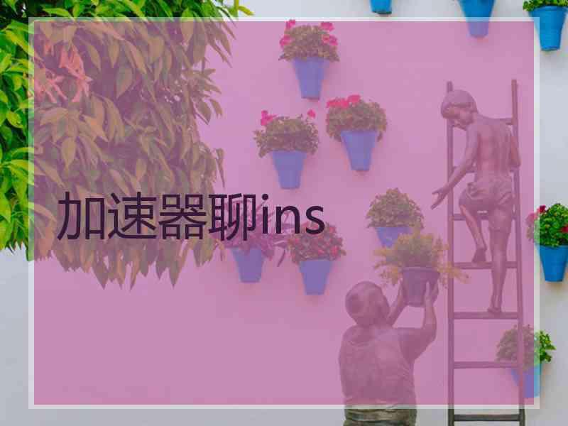 加速器聊ins