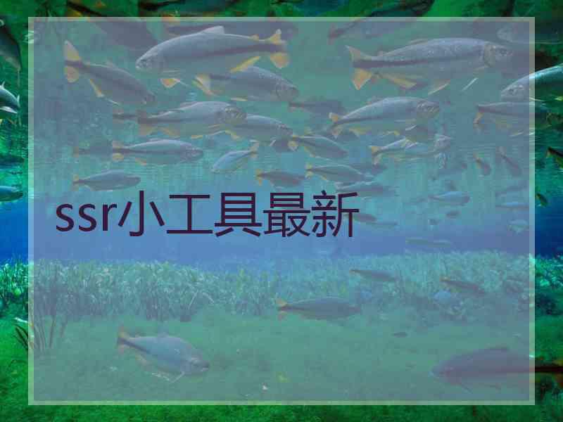 ssr小工具最新