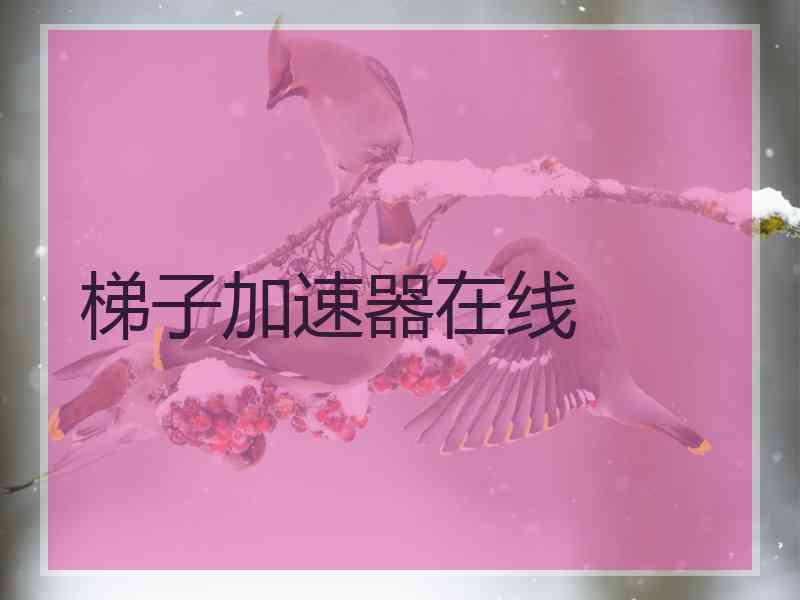 梯子加速器在线