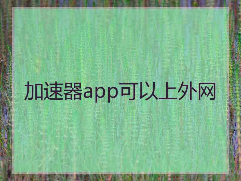 加速器app可以上外网