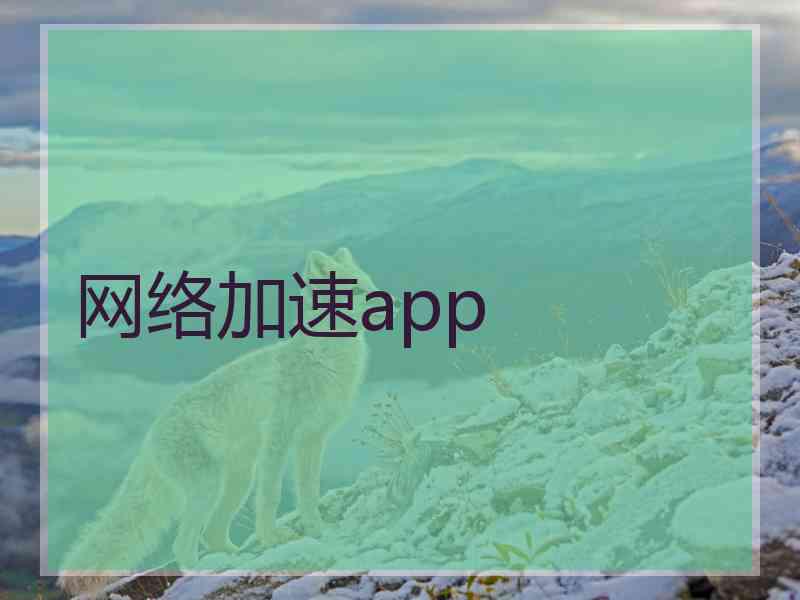 网络加速app