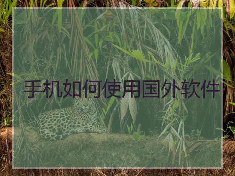 手机如何使用国外软件