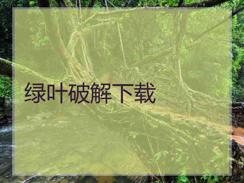 绿叶破解下载
