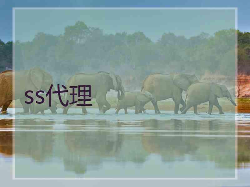 ss代理