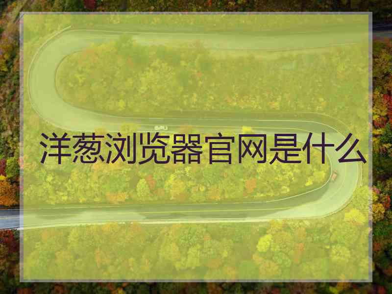 洋葱浏览器官网是什么