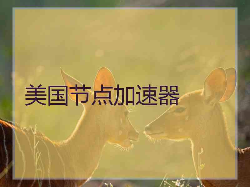 美国节点加速器