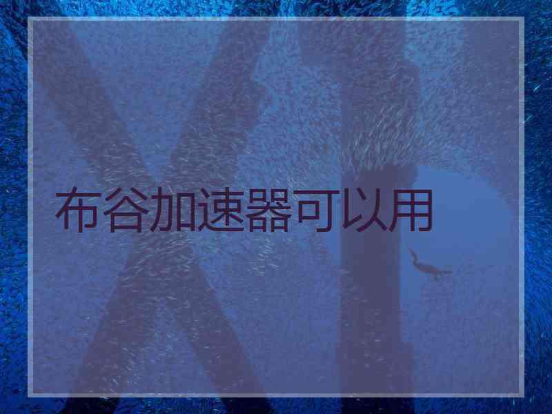 布谷加速器可以用