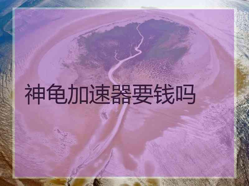 神龟加速器要钱吗