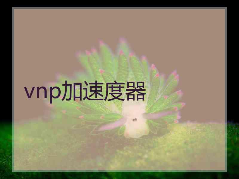 vnp加速度器