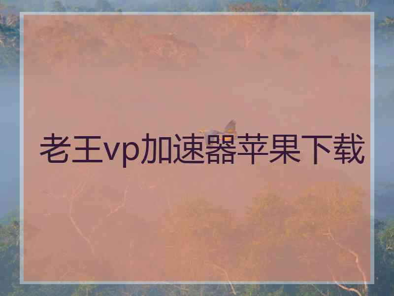 老王vp加速器苹果下载