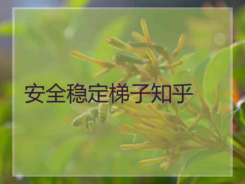 安全稳定梯子知乎