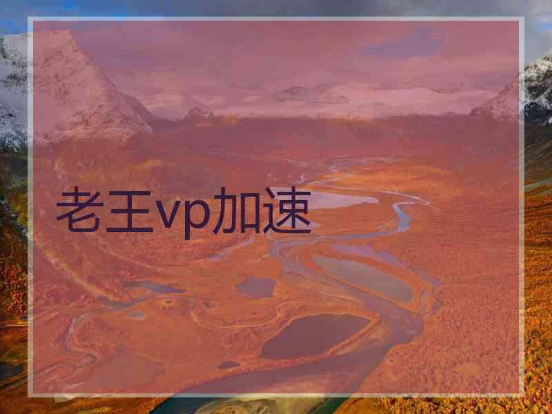 老王vp加速