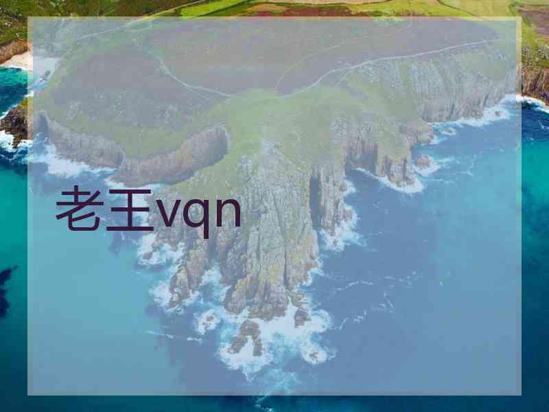 老王vqn