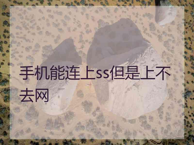 手机能连上ss但是上不去网