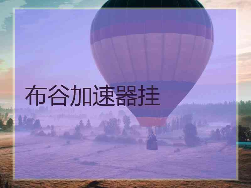 布谷加速器挂