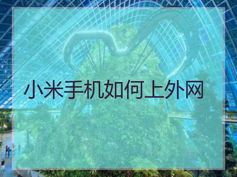小米手机如何上外网