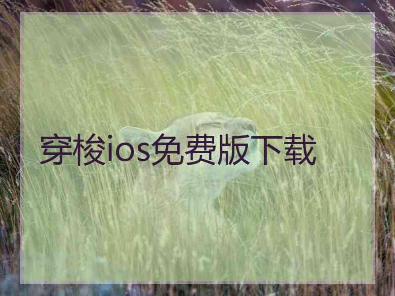 穿梭ios免费版下载