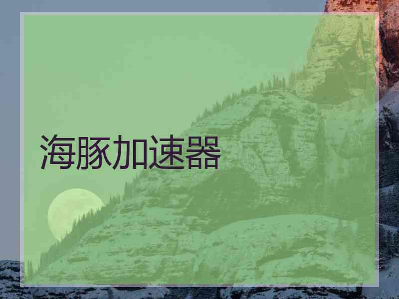 海豚加速器