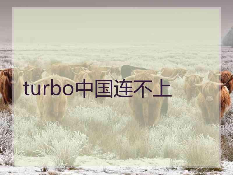 turbo中国连不上