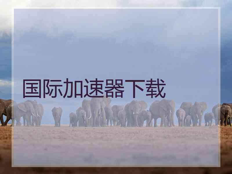 国际加速器下载