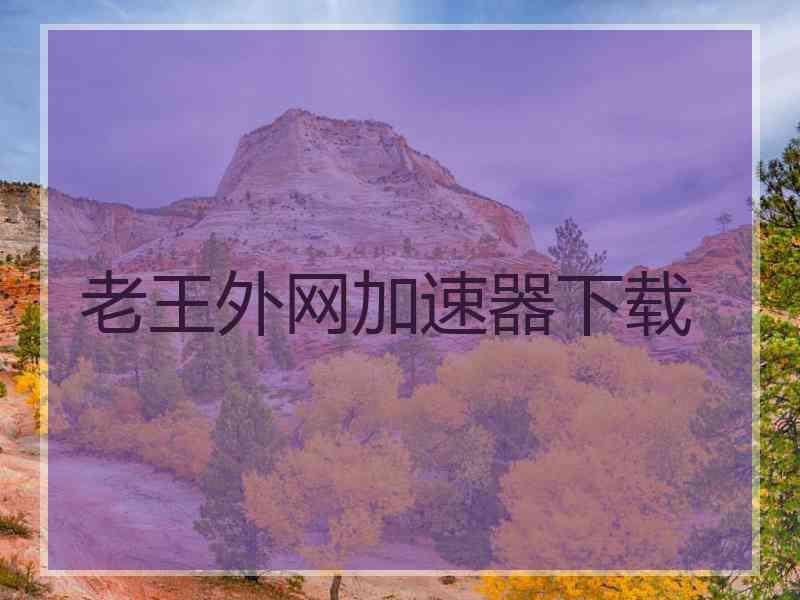 老王外网加速器下载