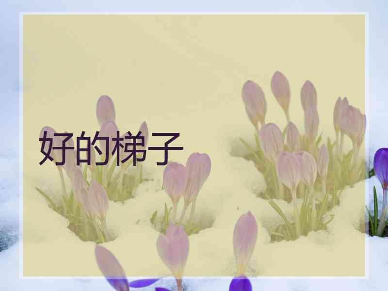好的梯子