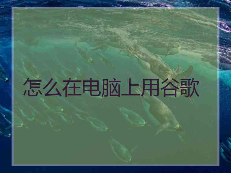 怎么在电脑上用谷歌
