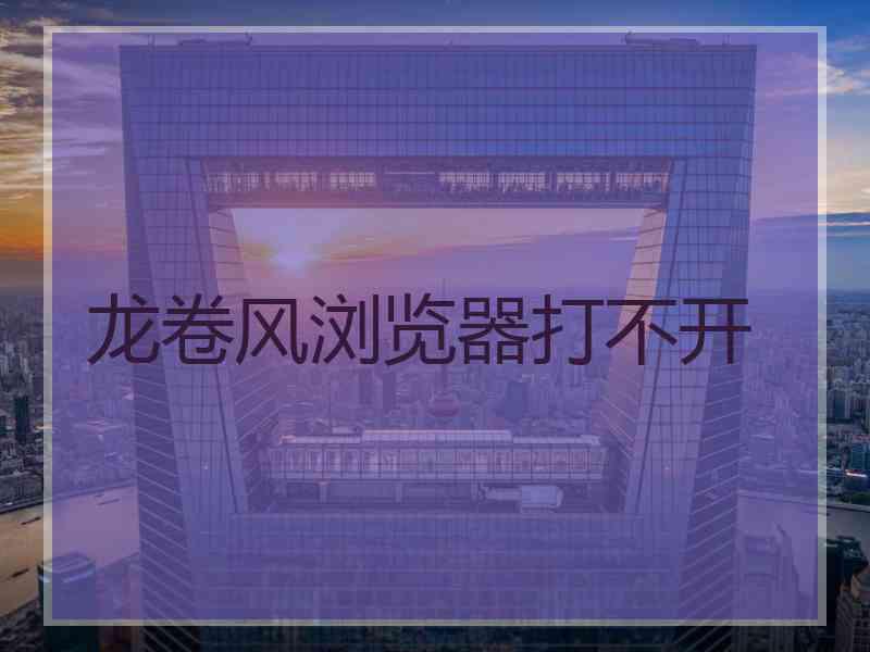 龙卷风浏览器打不开
