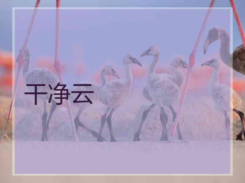 干净云