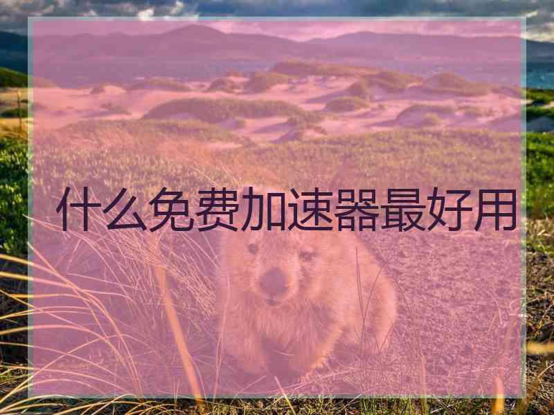 什么免费加速器最好用