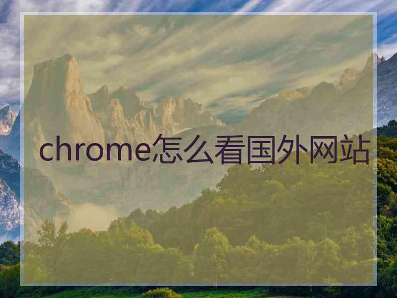 chrome怎么看国外网站
