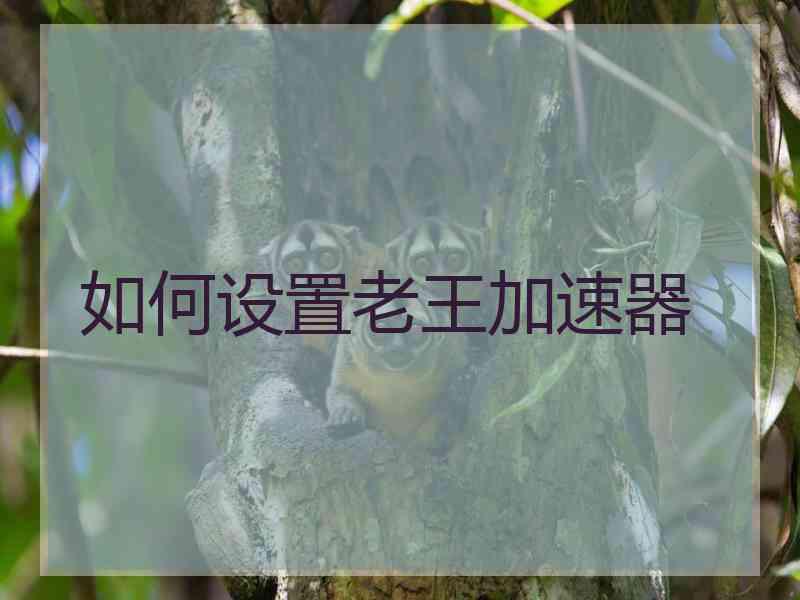 如何设置老王加速器