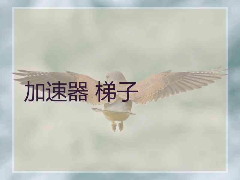 加速器 梯子