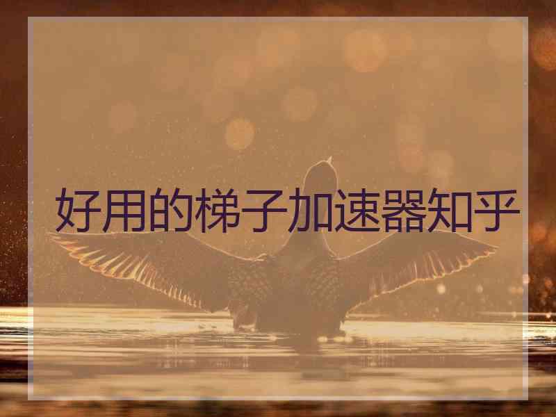 好用的梯子加速器知乎
