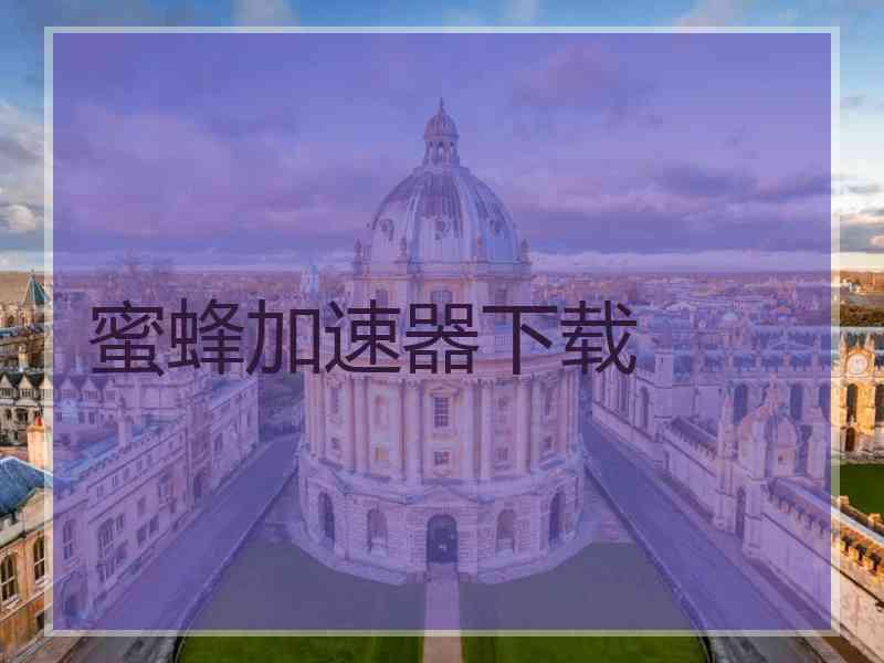 蜜蜂加速器下载