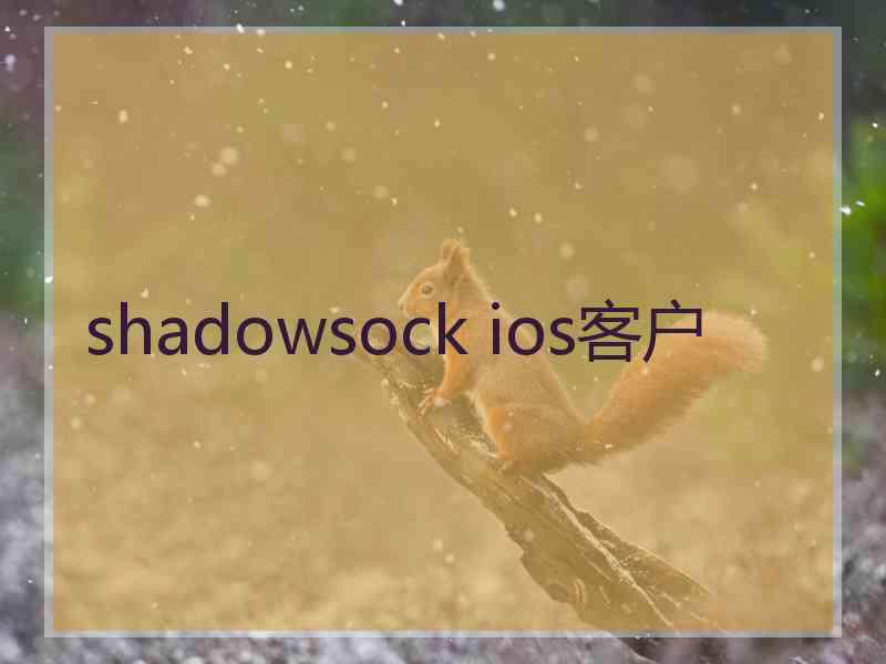 shadowsock ios客户